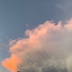 Meet your Posher, Marissa